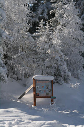 Alpinpark Tafel 2 2009-02-01 JMF