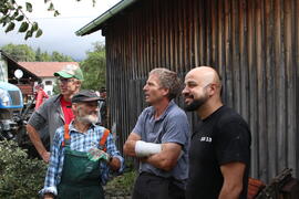 Kapelle Wald Umsturz Linde 59JMF