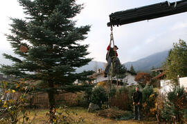 Landjugend Weihnachtsbaum2009-11-28_5 JMF