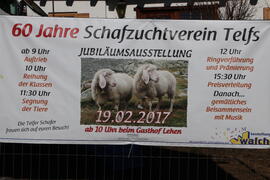 Schafausstellung 2017-02-19_03  JMF