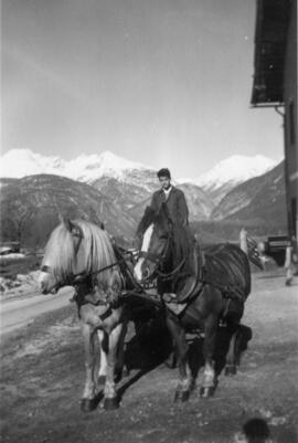 zwei eingespannte Pferde, Tanzer Hermann geb. 1936