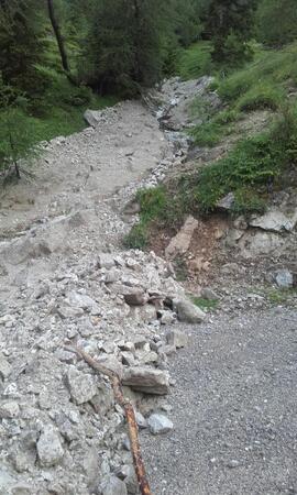 Lehnberg 2017-06-28_6 Strigl Daniel