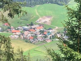 Wald Hühnerfarm 2022-08-17 Wilhelm Josef