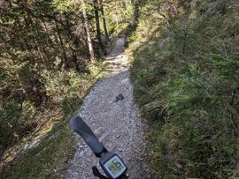 Bachweg Lehnberg 2024-10-21_1 JMF