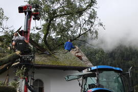 Kapelle Wald Umsturz Linde 45JMF