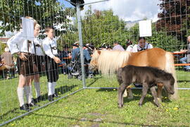 Lärchenwiesenfest Schneggenhausen 2014-09-07_11 JMF