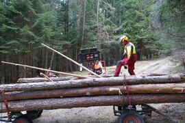 Holzen Ötztaler Wassertal 2020-04-11_2 JMF
