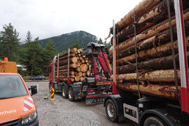 Holztransport 2023-07-27 JMF