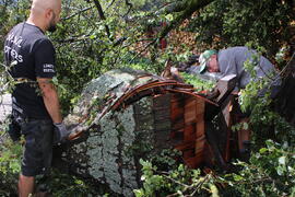 Kapelle Wald Umsturz Linde 58JMF