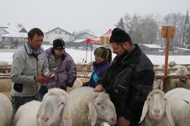 Jub-Ausstellung 60er 2015-02-22_7 JMF