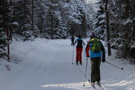 Langläufer 2020-12-26 JMF