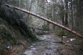 Sturmschäden re Klammbach 2023-12-26_6 JMF
