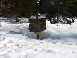 Wegtafel Nisskogelweg 2012-03-03 JMF