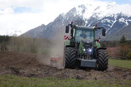 Pilzgerste_2021-04-21_5 JMF