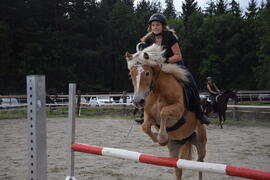 Pegasus 2017-09-09_09 Krug Herbert