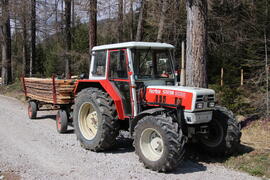 Steyr 8065 2020-03-25 JMF