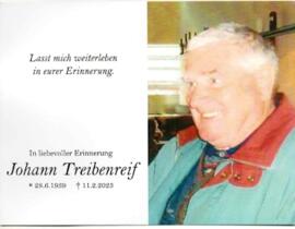 Johann Treibenreif