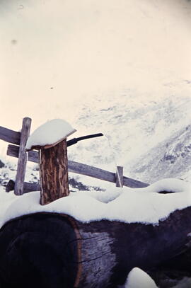 Bergrettungshütte, Pettneu, Brunnen