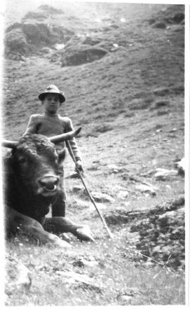 Im Malfon beim Stier