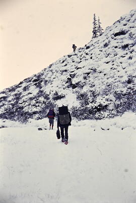 Bergrettungshütte, Pettneu