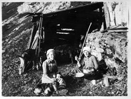 Bergwiese Gmand vor 1920