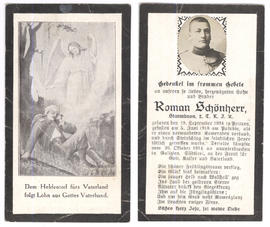 Schönherr Roman 1918