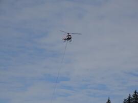 CH-ZCH-2024-3-003