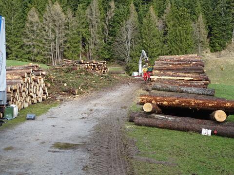 Original digitales Objekt not accessible