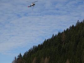 CH-ZCH-2024-3-020