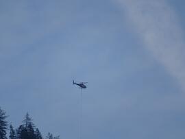 CH-ZCH-2024-3-025