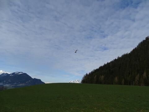 Original digitales Objekt not accessible