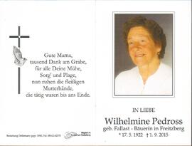 Pedroß Wilhelmine geb Fallast