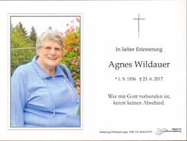 Wildauer Agnes