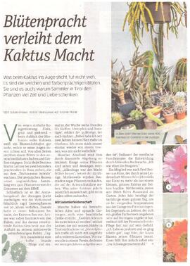 Blütenpracht  verleiht dem Kaktus Macht