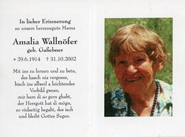 Wallnöfer, Amalia