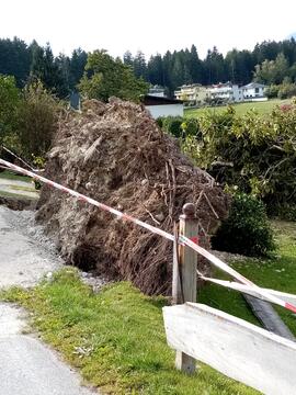 Föhnsturm Unwetter