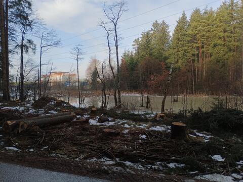 Original digitales Objekt not accessible