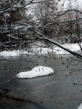 1. Schnee 2021