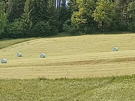 Heuernte (Heuballen)  im &quot;Hofer Stiegl&quot;