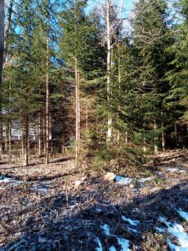 Holzausputzarbeiten