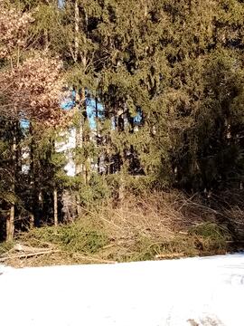 Holzausputzarbeiten