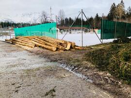 Abholzung beim Tennisplatz