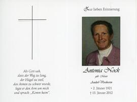 Nock, Antonia