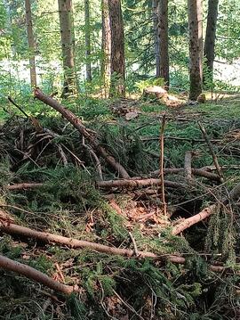 Aufräumarbeiten nach Sturmschäden
