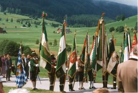 Bezirksschützenfest,  verschiedene Fahnenabordnungen