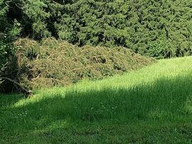 Sturmschäden unter Eberl- und Stock-Felder