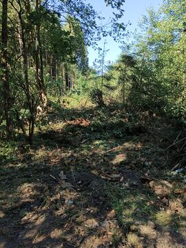 Aufräumarbeiten nach Sturmschäden hinter Campingplatz