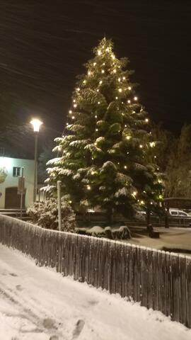 Christbaum im Garten beim Kindergarten