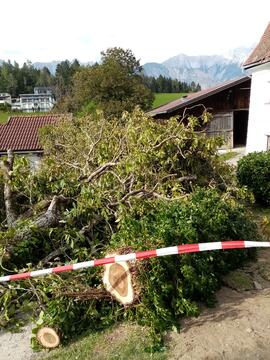 Föhnsturm Unwetter