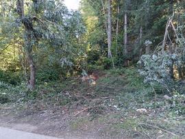 Aufräumarbeiten nach Sturmschäden hinter Campingplatz